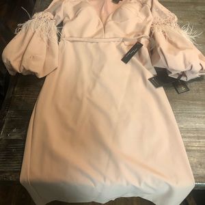 TERANI couture dress new with tags color blush size 14